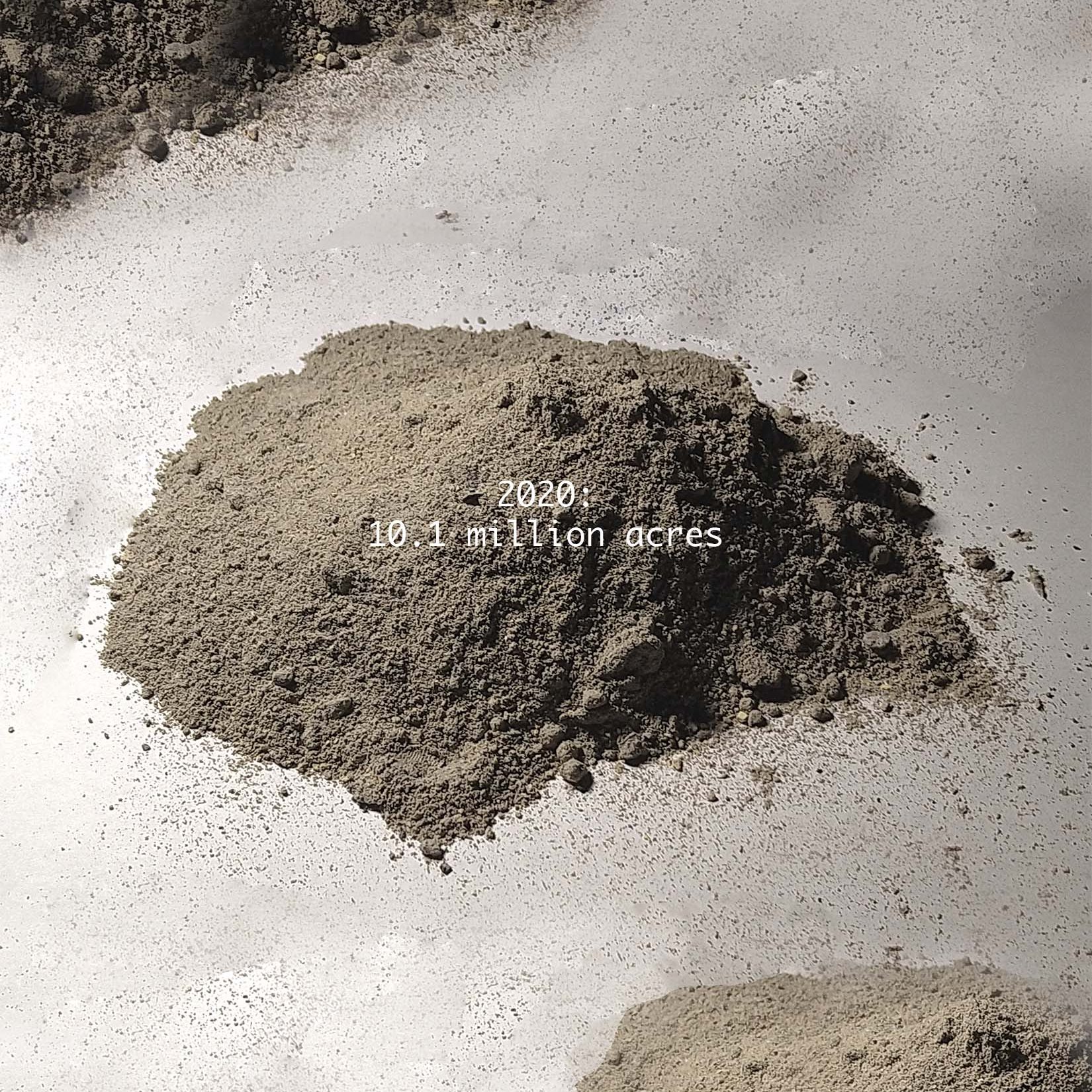 Forest Fire Ad Poster #1