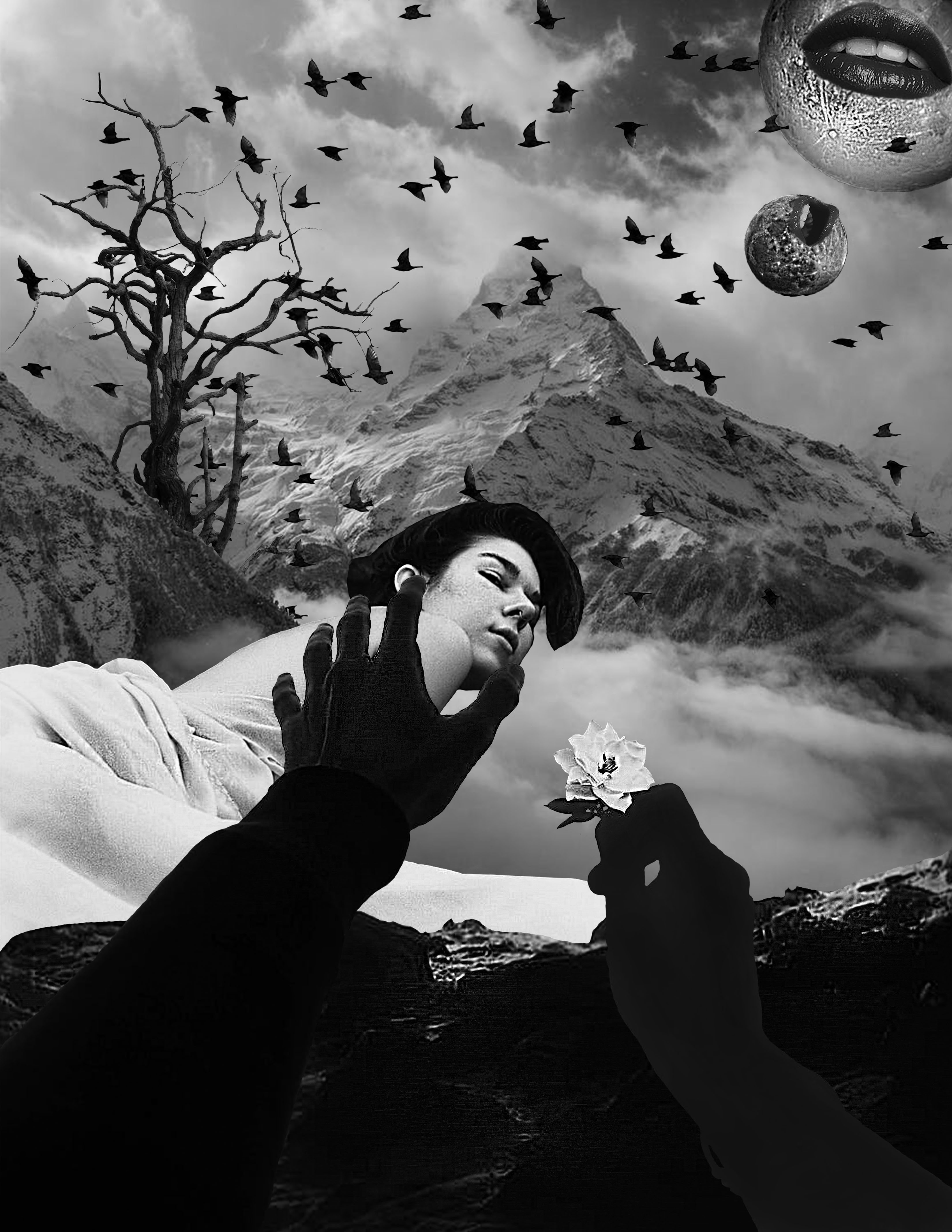 Black and white poster showcasing dreams